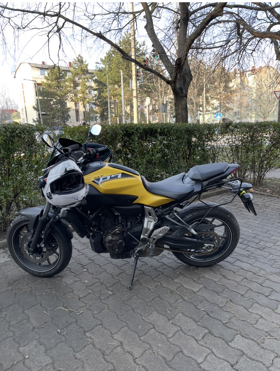 IMG_8304.jpeg