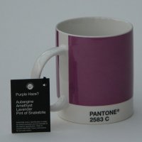 Pantone_2583C.jpg