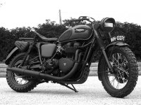 triumph-bonneville-custom-4.jpg