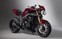 2010-triumph-speed-triple.jpg