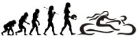 evolution30.jpg