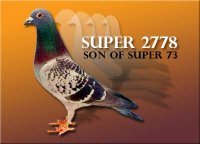 Super2778.jpg