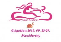 csigatura2013.jpg