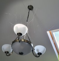 45/2025 Meghosszabbítottuk a Halloweent