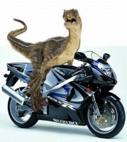 raptor_on_a_motorcycle__by_hero_of_gallowmere-d3ani2g.jpg