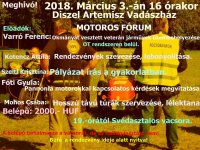 Meghívó Diszelbe 2018. március 3..jpg