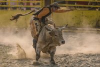 NAAF_BIKARODEO_2.jpg