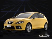 seat_leon_fr_1_9w.jpg