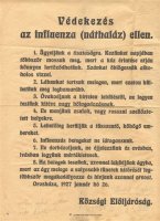 Influenza 1927 RM .jpg