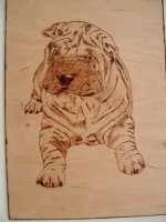 shar-pei.JPG