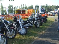 hog-alsoors-2010-4.jpg