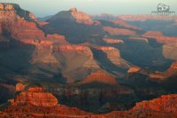 Grand_Canyon_4_w800_h500.JPG