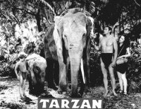 tarzan_john_weissmuller.jpg