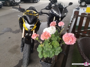 honda-cb-500f-mc-2022-6