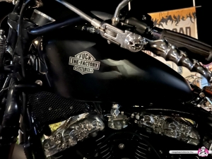open-road-weekend-alsoors-2023-06-34