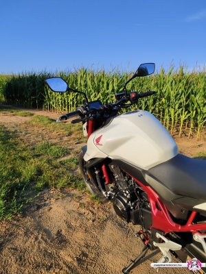 honda-cb750-hornet-2023-21