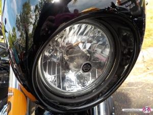Harley-Davidson Iron 1200 - 2019