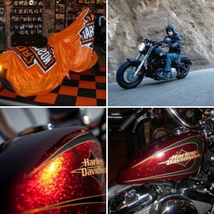 2012-es Harley-Davidson Modellek