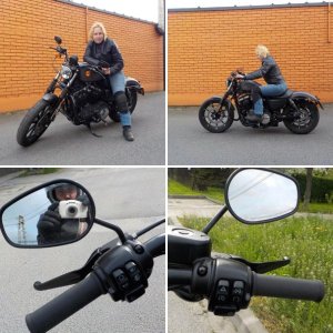 Harley-Davidson Sportster 883 Iron 2016