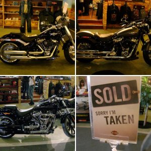 Harley-Davidson új modell bemutató