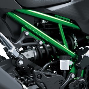 kawasaki-z900-2025-14.jpg