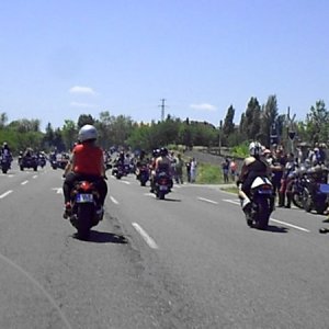 Harley_2014