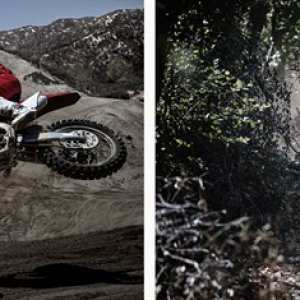 17YM CRF450R and CRF450RX