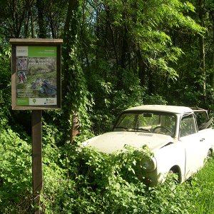 Vidd magaddal a szemetedet