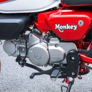 129330_Honda Monkey