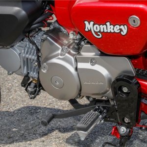 129336_Honda Monkey