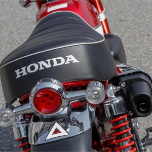 129352_Honda Monkey