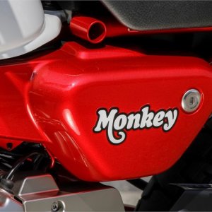 129359_Honda Monkey