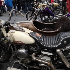 motor-bike-expo-2019_22