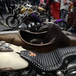 motor-bike-expo-2019_23