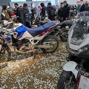 motor-bike-expo-2019_26