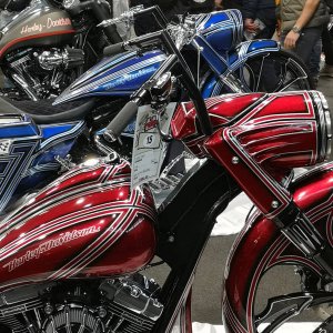 motor-bike-expo-2019_147