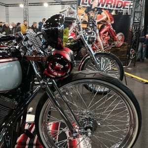 motor-bike-expo-2019_151