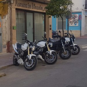 andaluz-motoros-tura_3