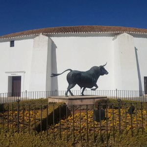 andaluz-motoros-tura_32