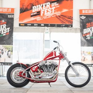 2 - H-D SPORTSTER - NIKO BIKES (BG)