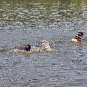 strandolas-domonyvolgyben