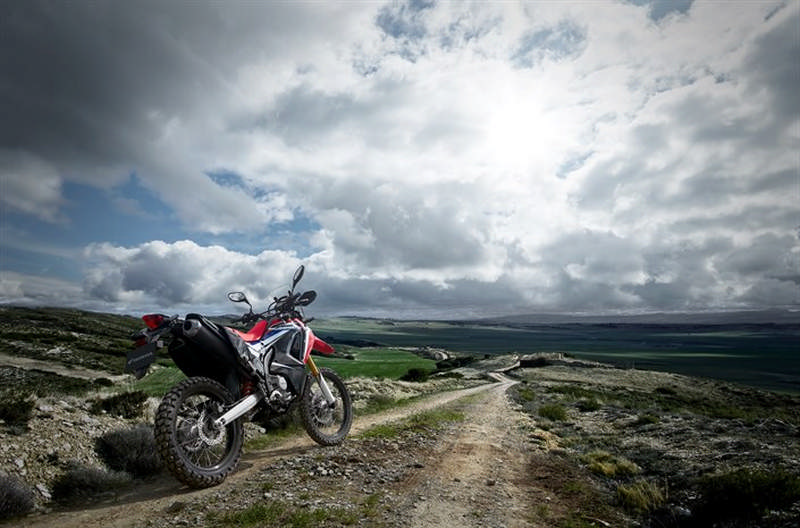 17YM CRF250 Rally