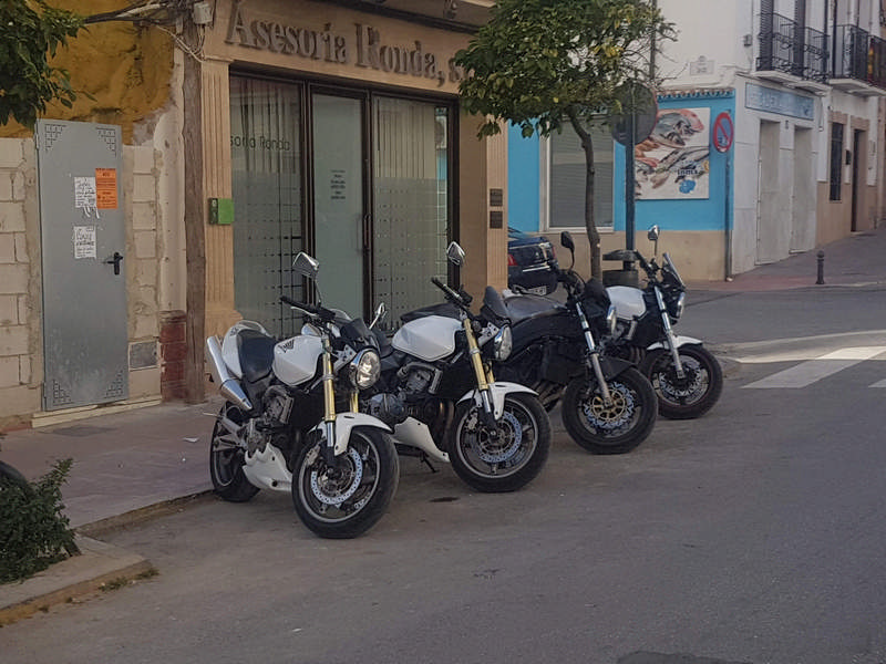 andaluz-motoros-tura_3