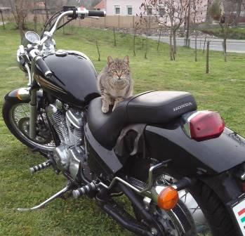 Izgi a motoron!:))