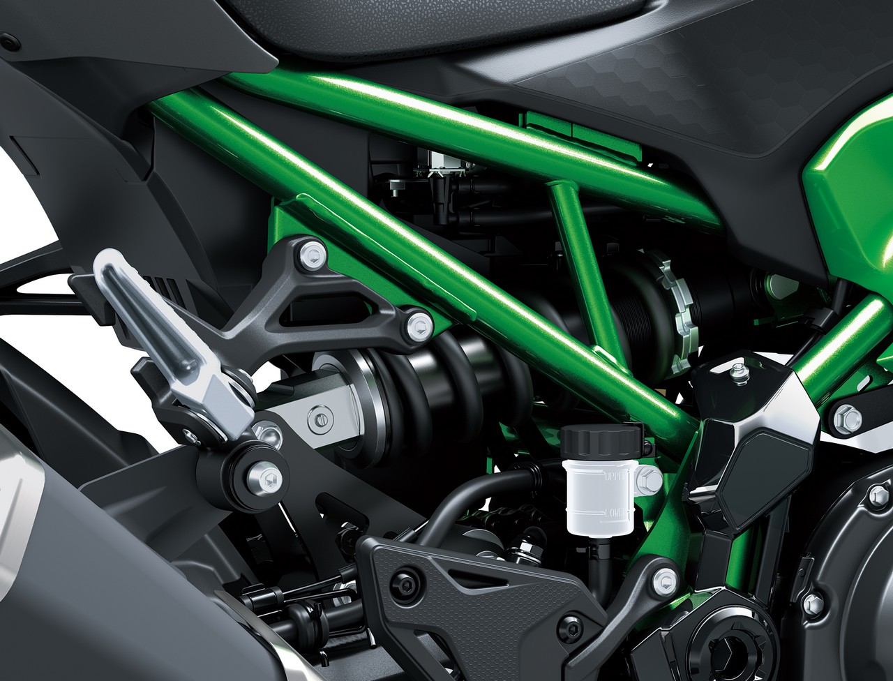 kawasaki-z900-2025-14.jpg