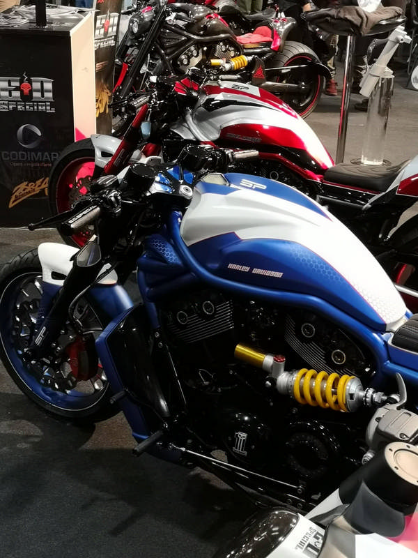 motor-bike-expo-2019_131